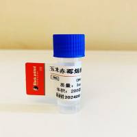 小鼠抗玉米赤霉烯酮单克隆抗体;玉米赤霉烯酮抗体;F-2毒素抗体;ZEN抗体