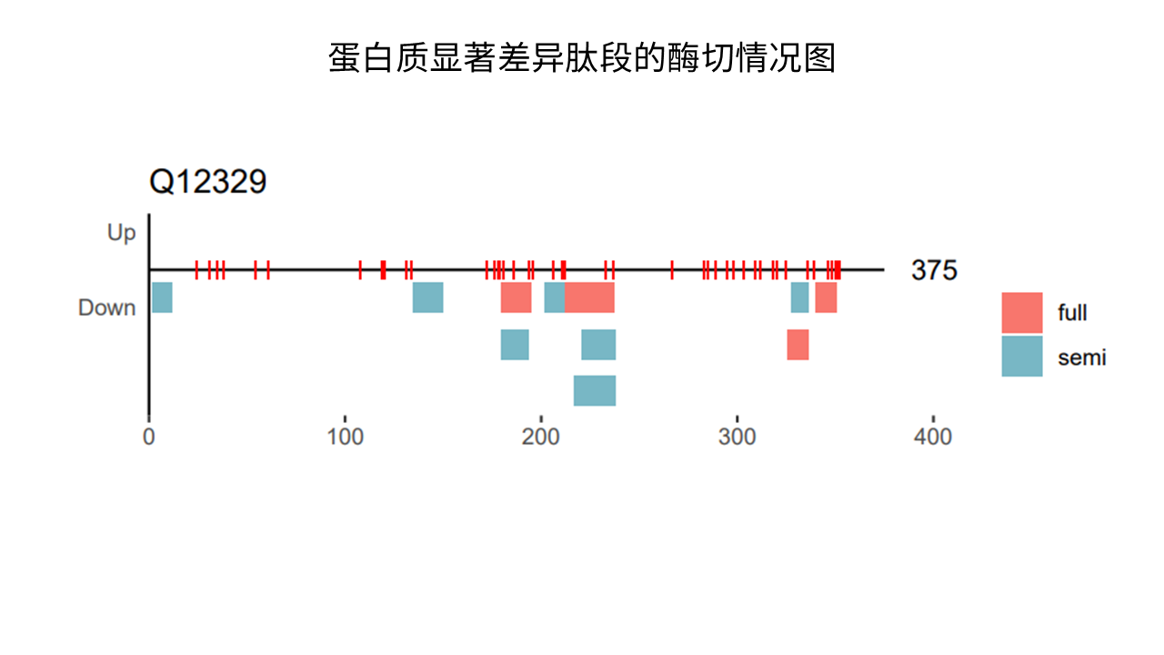 蛋白质显著差异肽段的酶切情况图