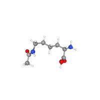 Nε-乙酰基-L-赖氨酸，692-04-6，≥98%(T)，阿拉丁
