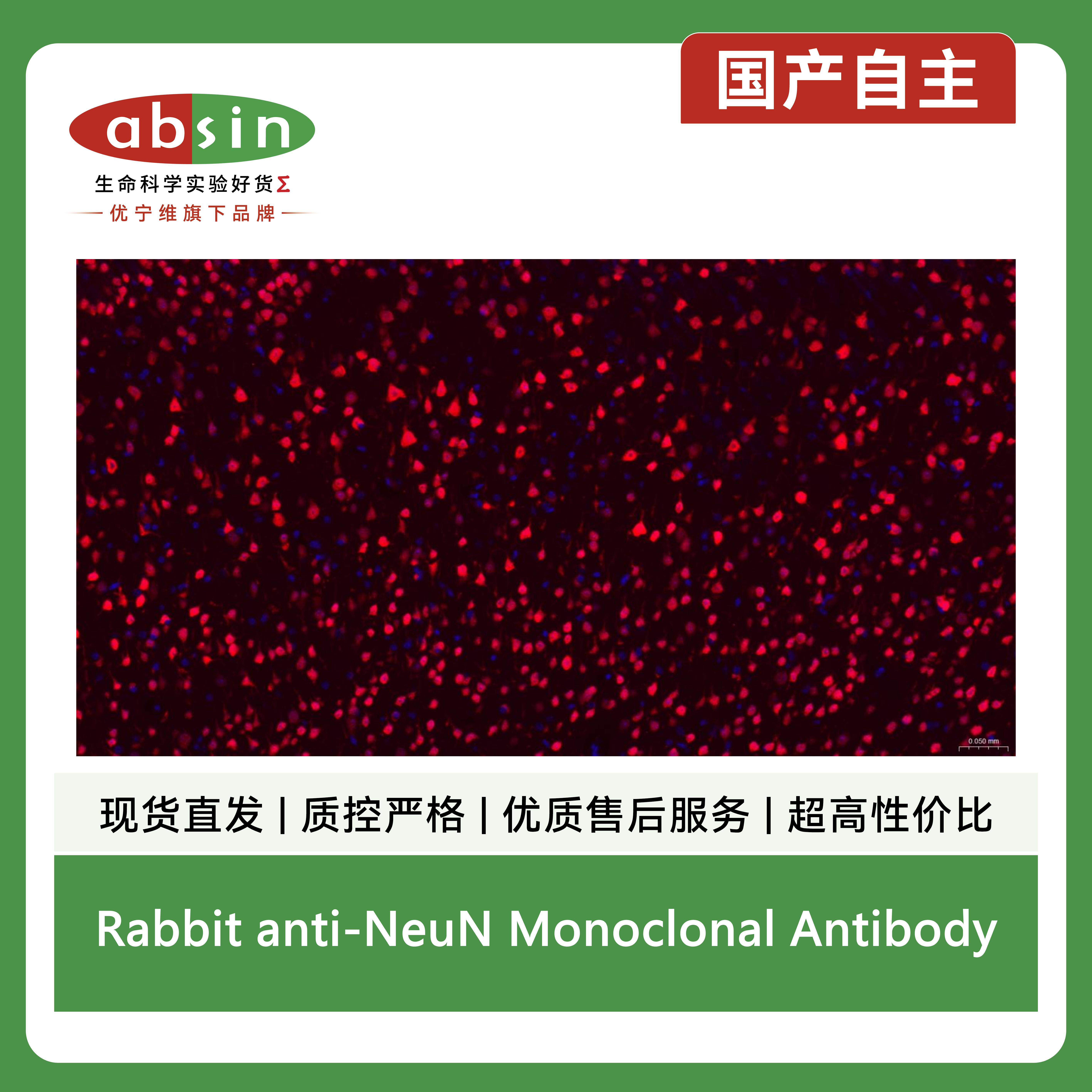 产品细节图片9