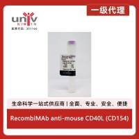 RecombiMAb anti-mouse CD40L (CD154)