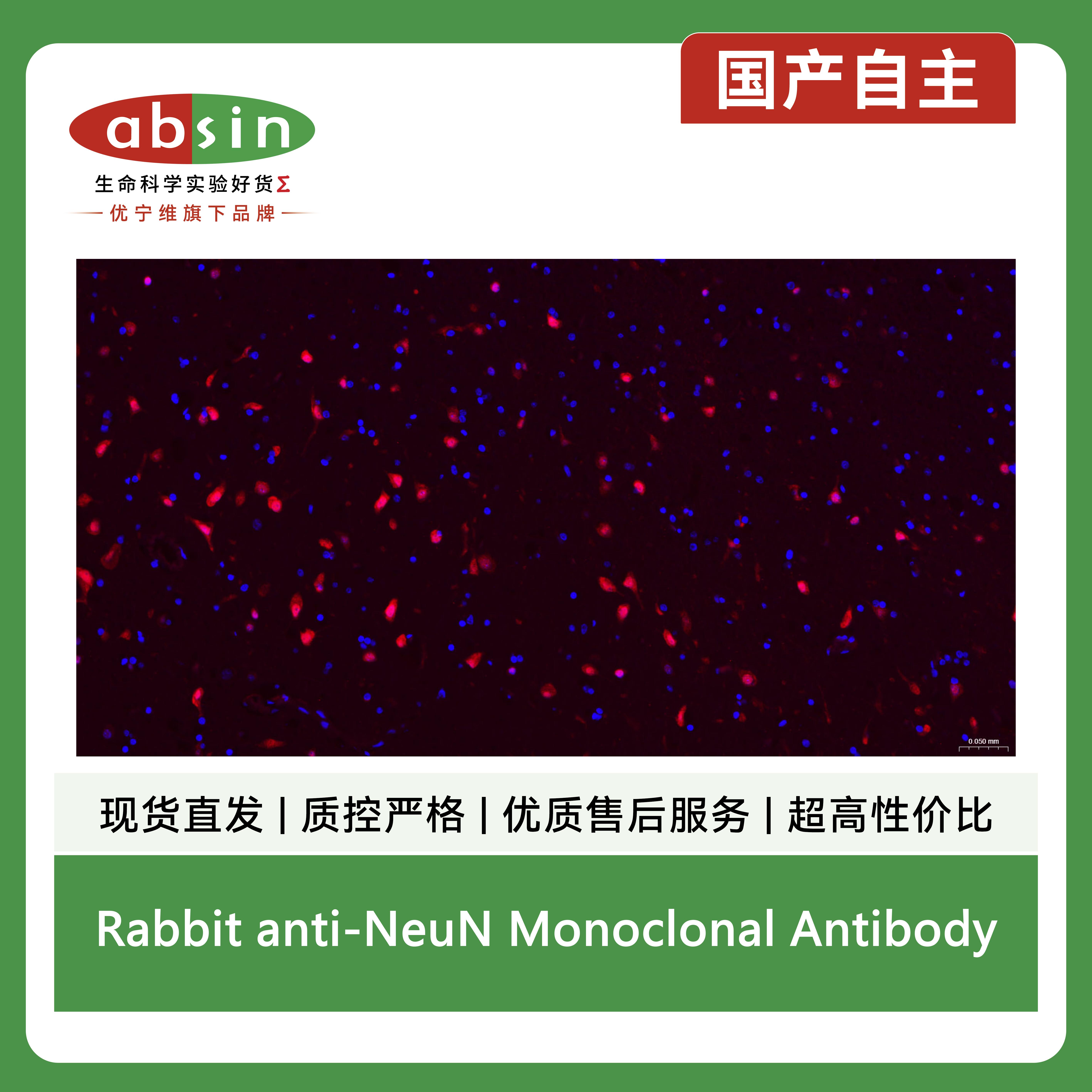 产品细节图片11