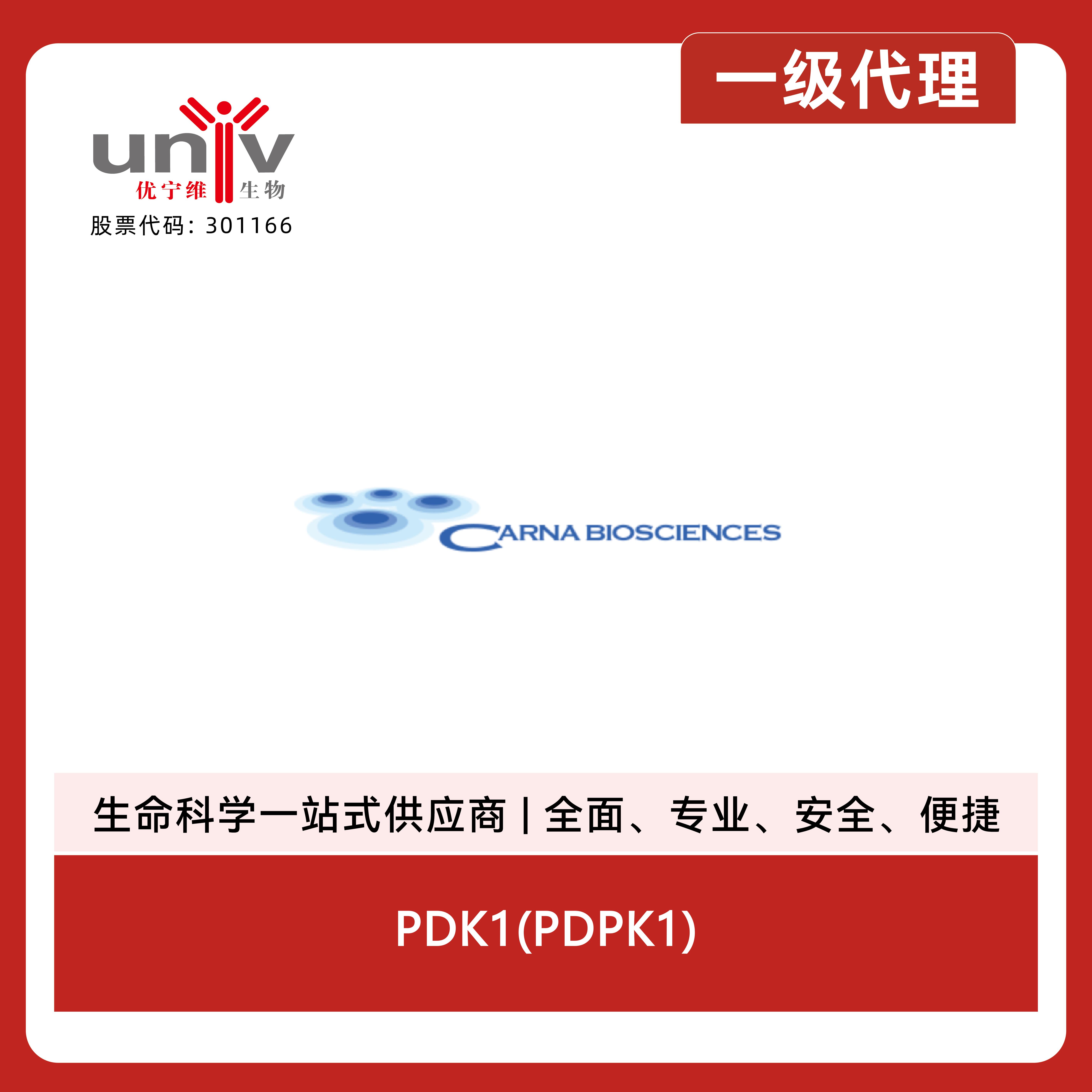 产品细节图片1