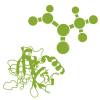 His Tag Peptide(bs-0287P)-500ug