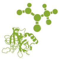 HEXD | HEXDC Ab Blocking Peptide(bs-8418P)-500ug