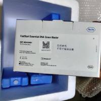 Roche 6924204001 FS Essential DNA Green Master,10x5 ml
