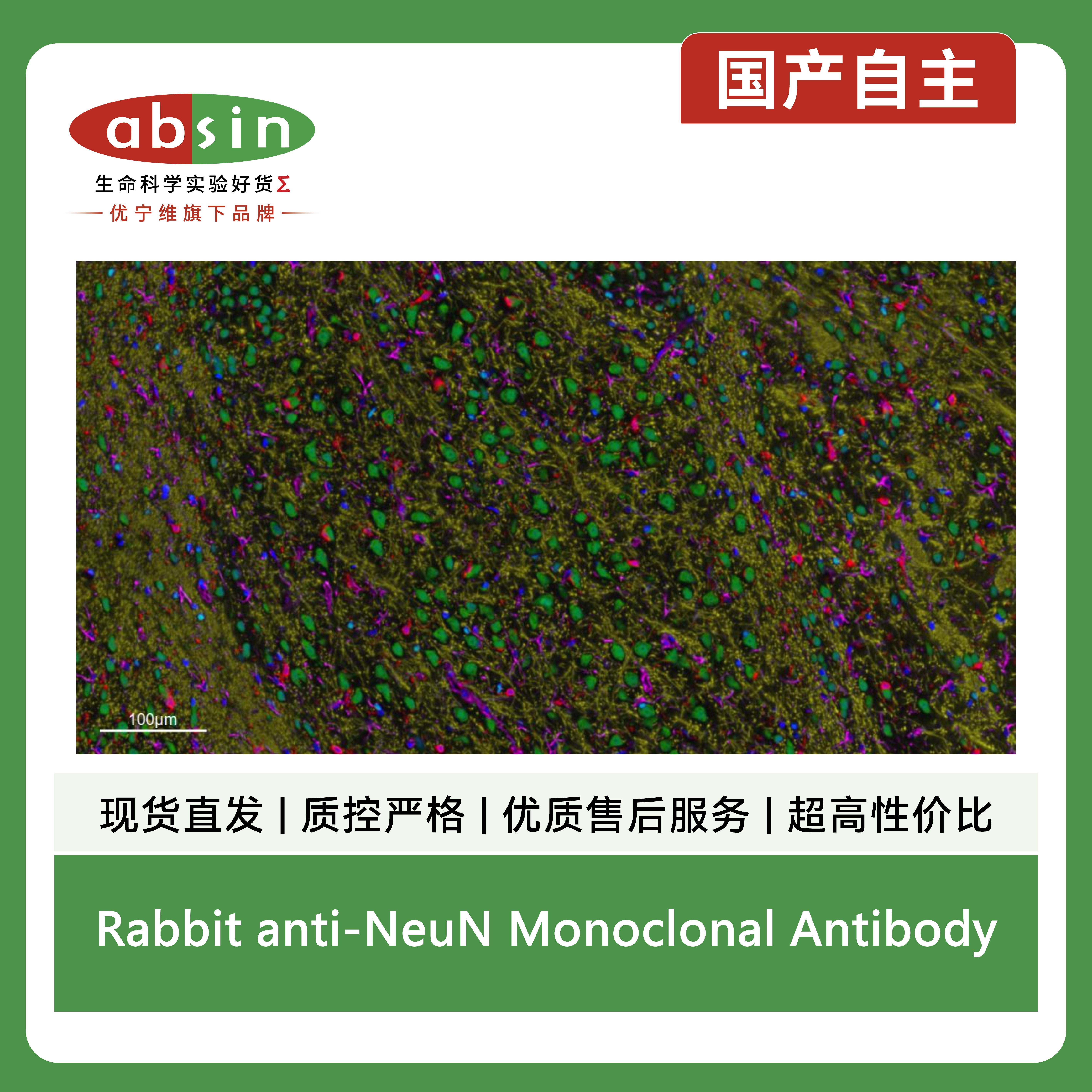 产品细节图片13