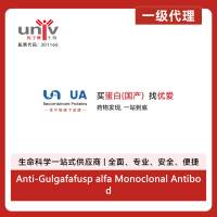 Anti-Gulgafafusp alfa Monoclonal Antibody (Glutazumab)