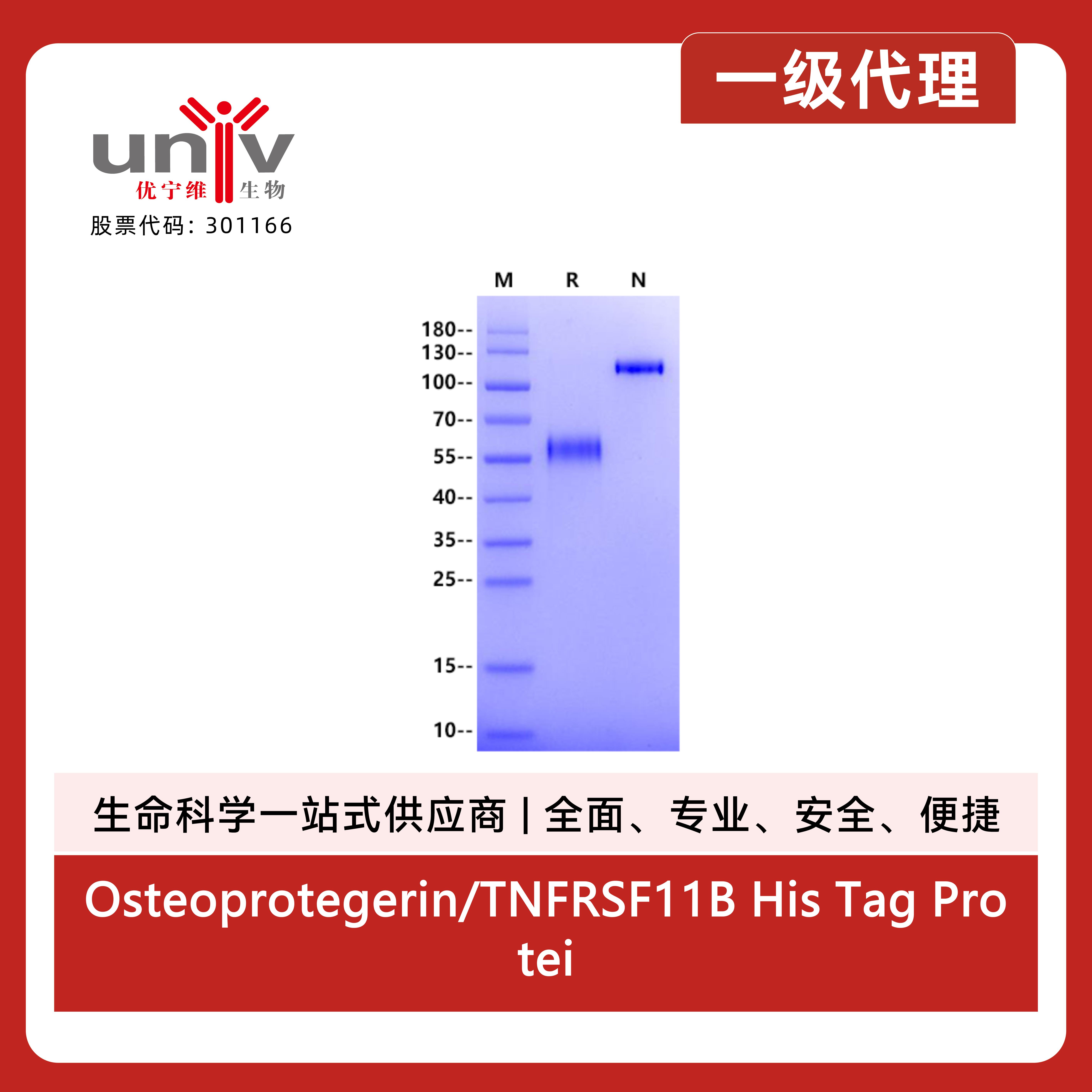 产品细节图片1