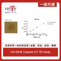 UA-Glo® Caspase 3/7 3D Assay