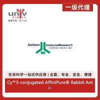 Cy™3-conjugated AffiniPure® Rabbit Anti-Sheep IgG, Fc Fragment Specific (min X Hu Sr Prot)