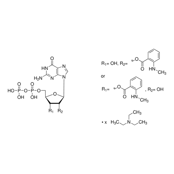 Mant-GDP 三乙铵盐 溶液,148821-02-7,≥95%, 10 mM solution in water,阿拉丁产品图