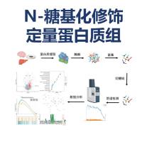从样本到报告:谱度众合N-糖基化修饰定量蛋白质组交付内容全解析