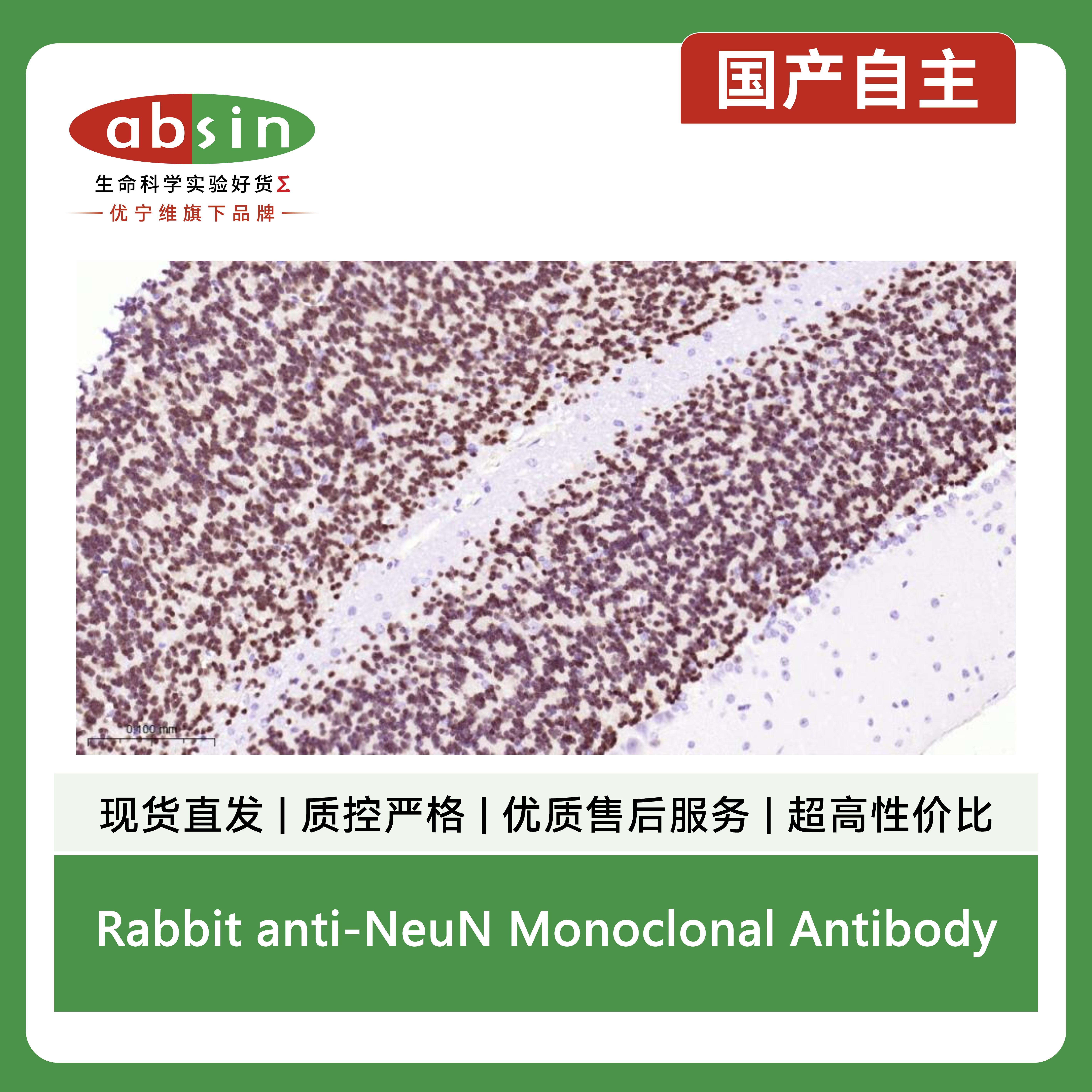 产品细节图片2