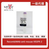RecombiMAb anti-mouse VEGFR-2