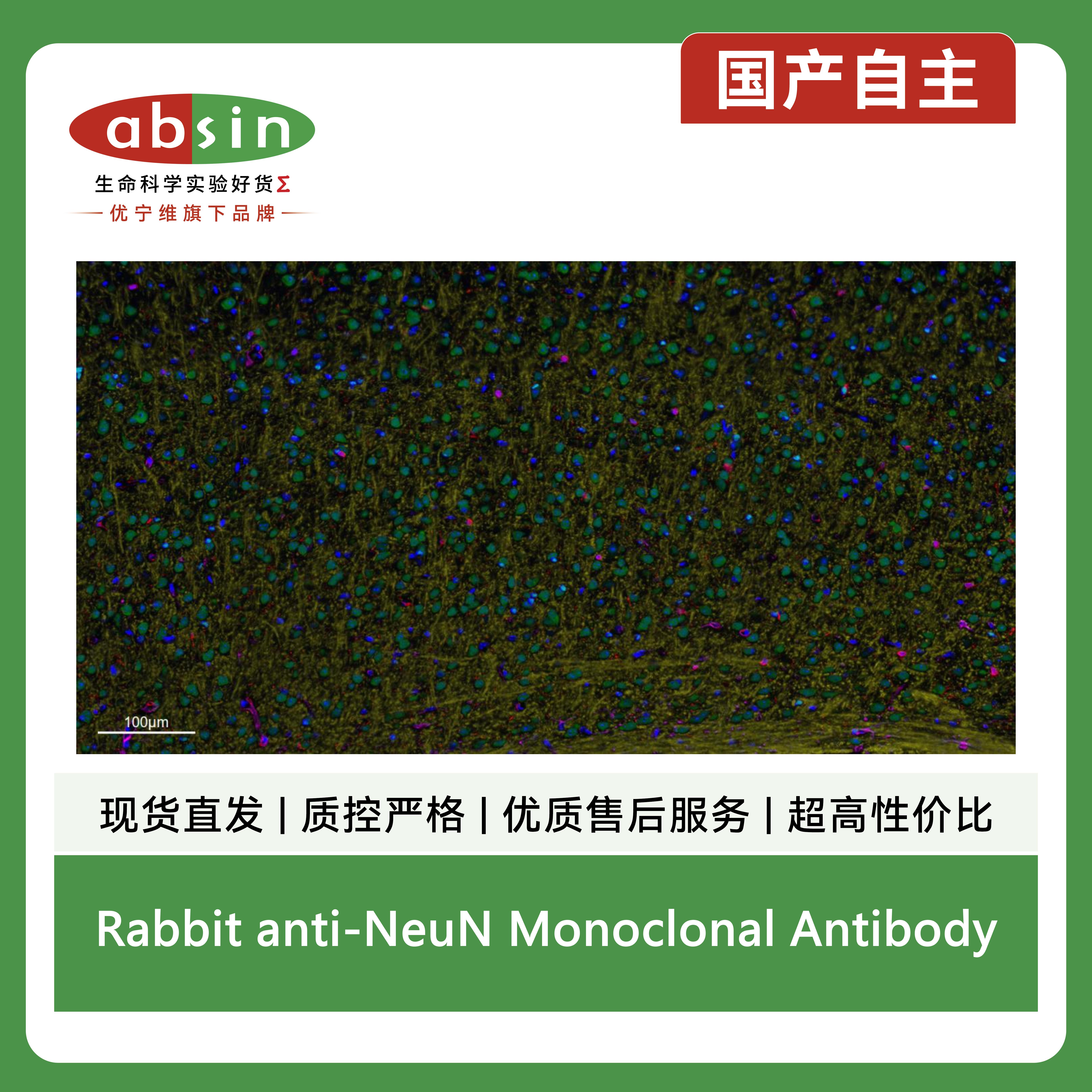 产品细节图片15