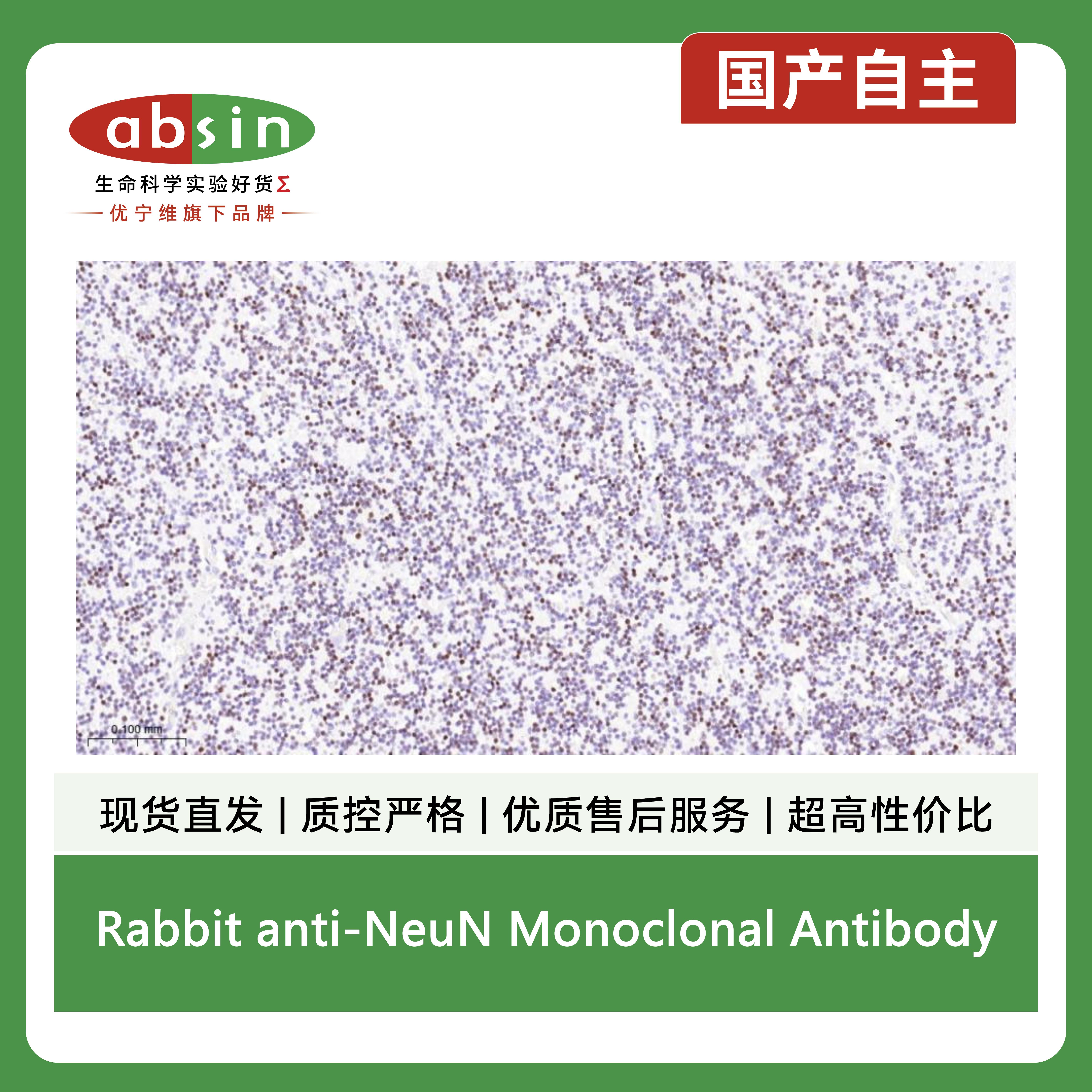 产品细节图片4