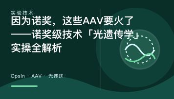 因为诺奖，这些AAV要火了——诺奖级技术「光遗传学」实操全解析