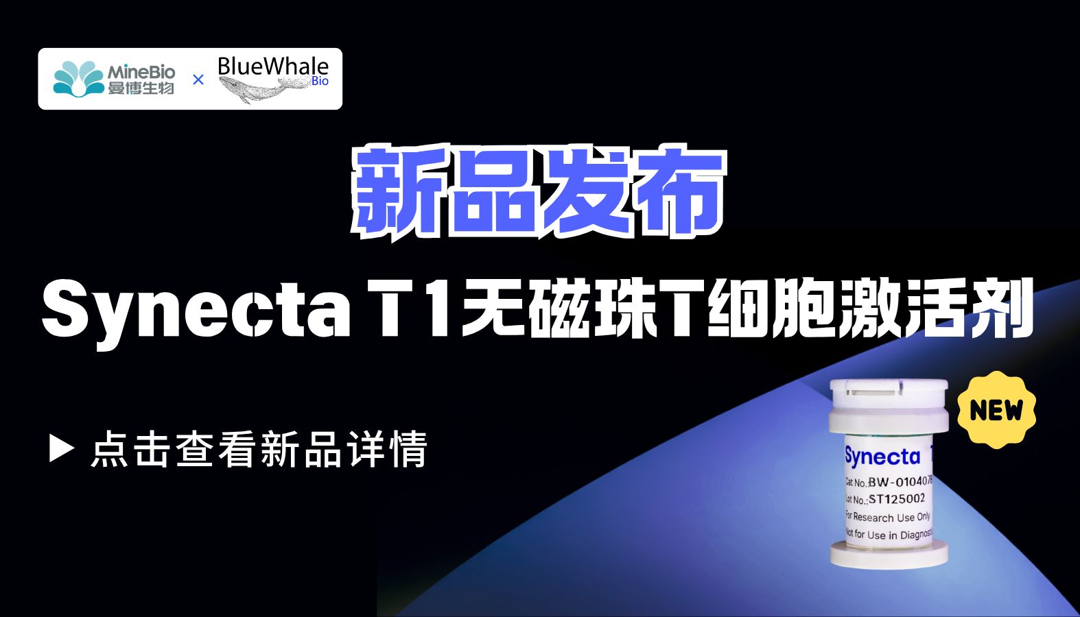 新品上线｜曼博生物携手BlueWhale Bio，Synecta T1无磁珠T细胞激活剂落地中国大陆