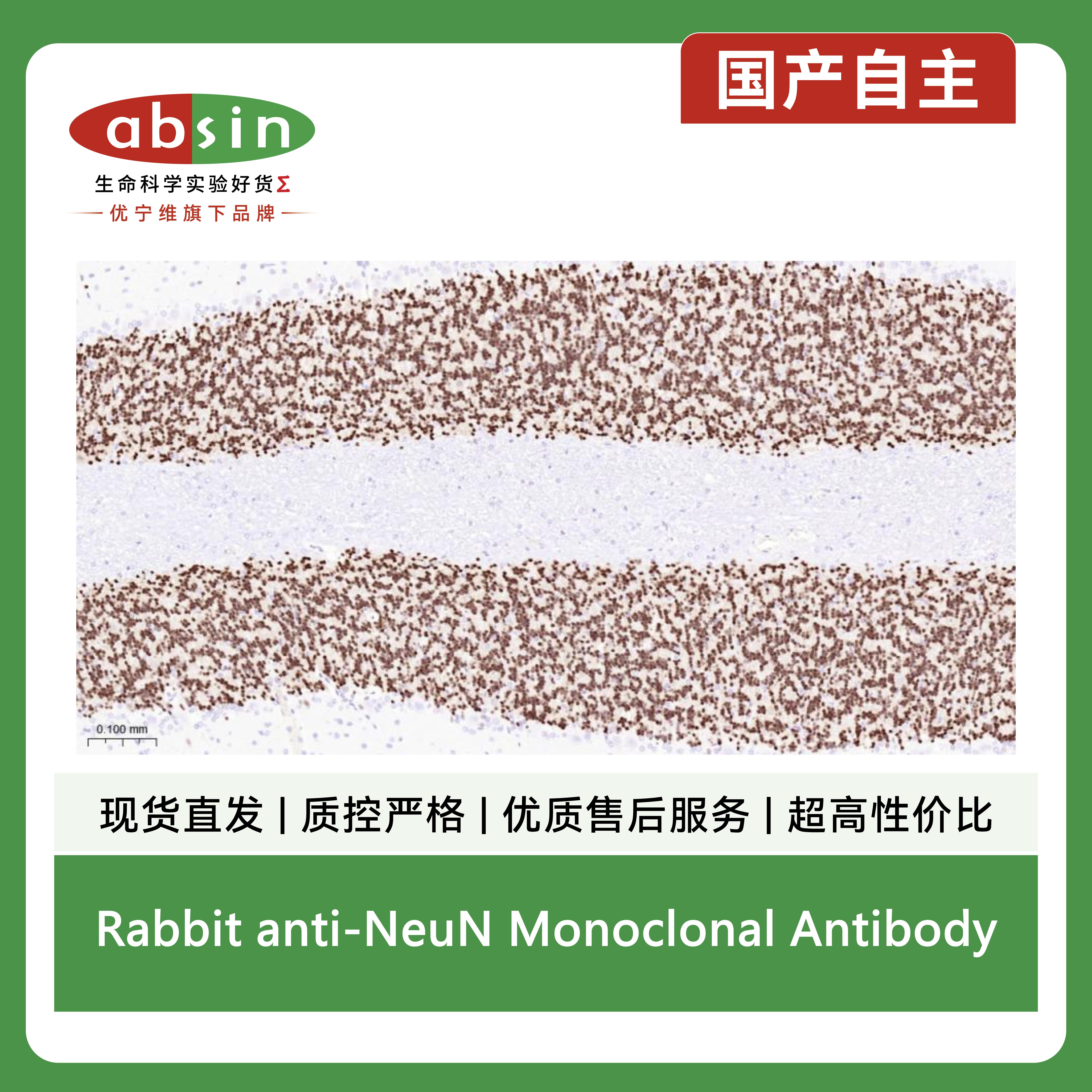 产品细节图片3