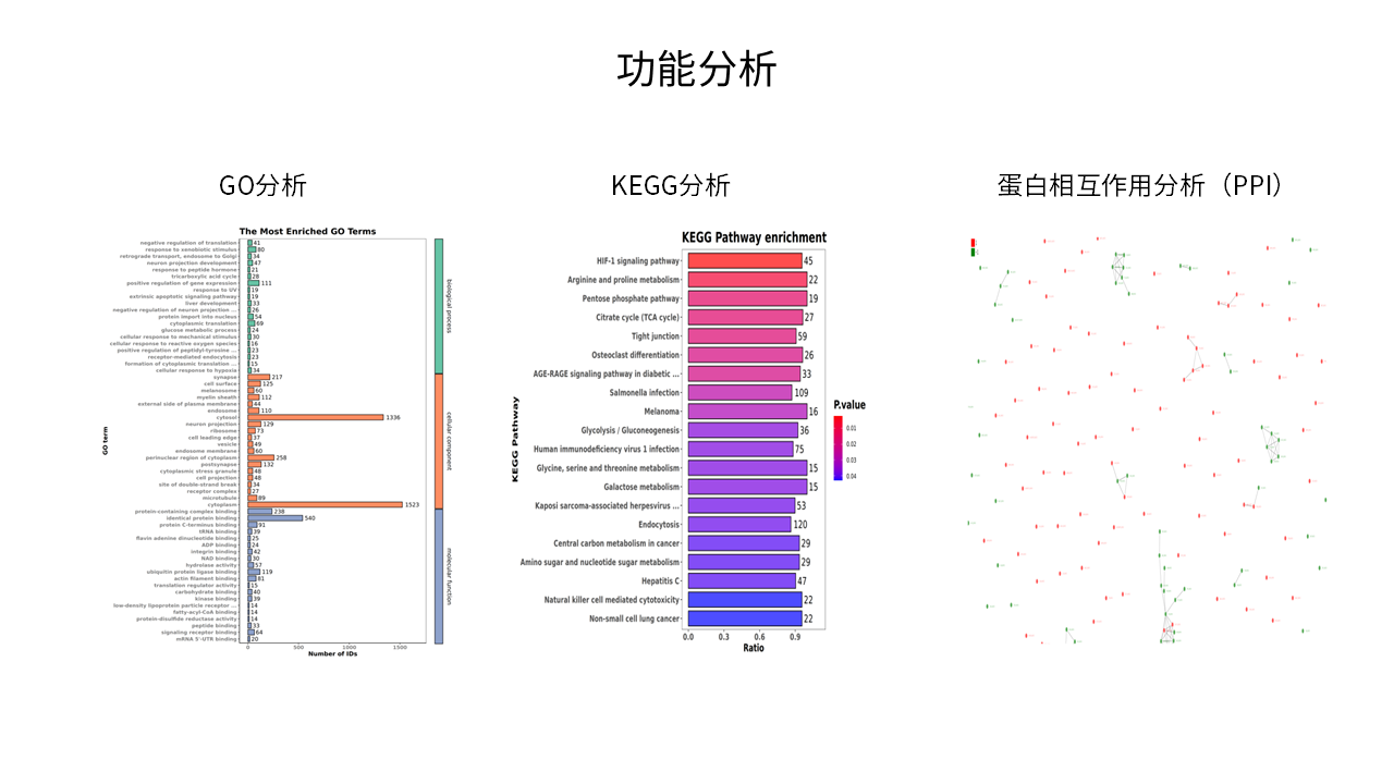 功能分析