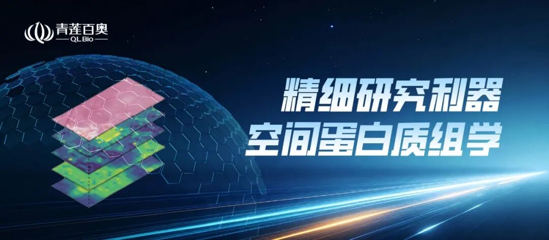 Brain | 从“域”到“靶”：空间蛋白质组学解析罕见脑病LCC疾病机制