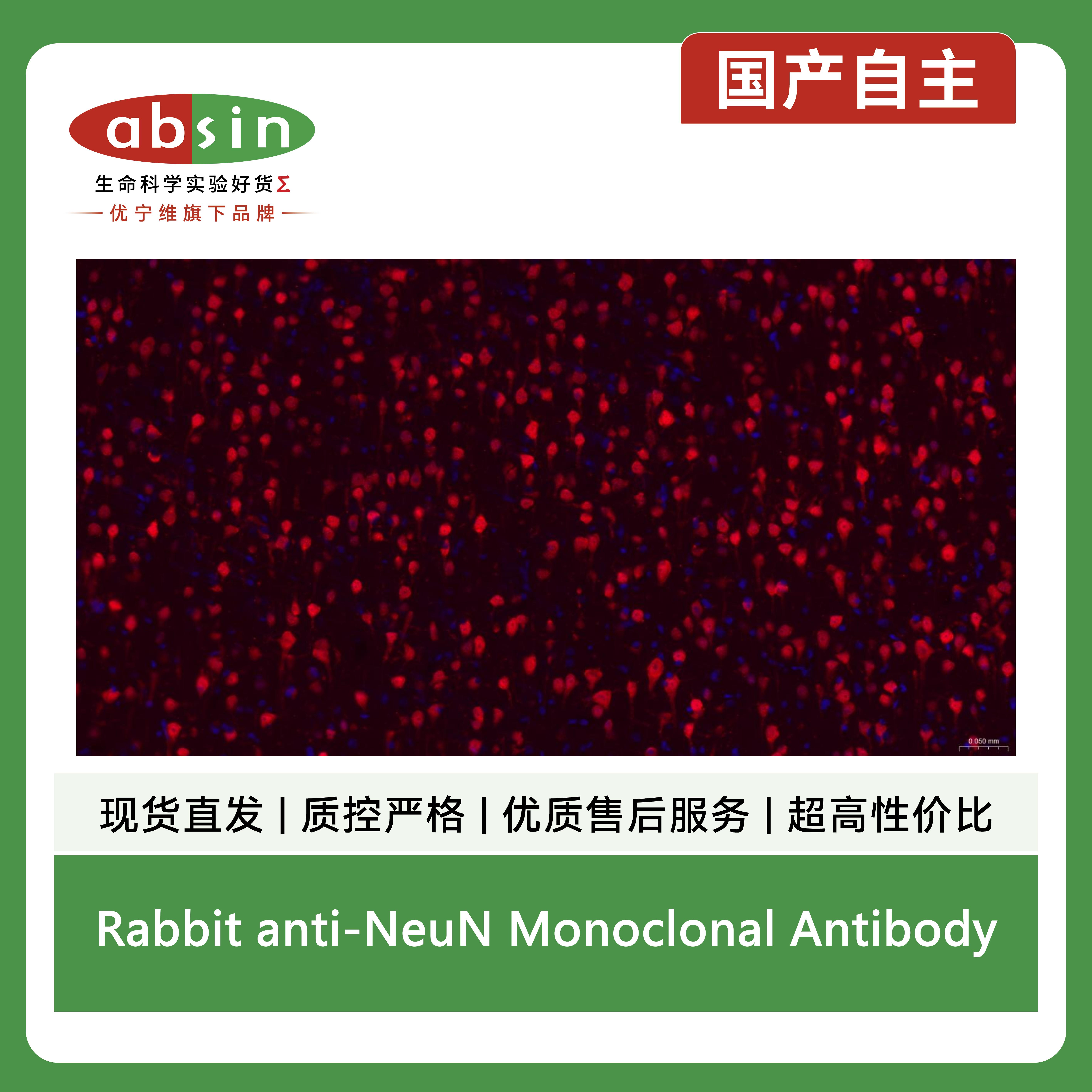 产品细节图片10