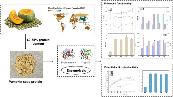 BMG LABTECH多功能酶标仪文献分享,北师香港浸会大学发表在Food Chemistry “Change of physicochemical, structural and functional properties of pumpkin seed protein via enzymolysis by proteinase K and trypsin”