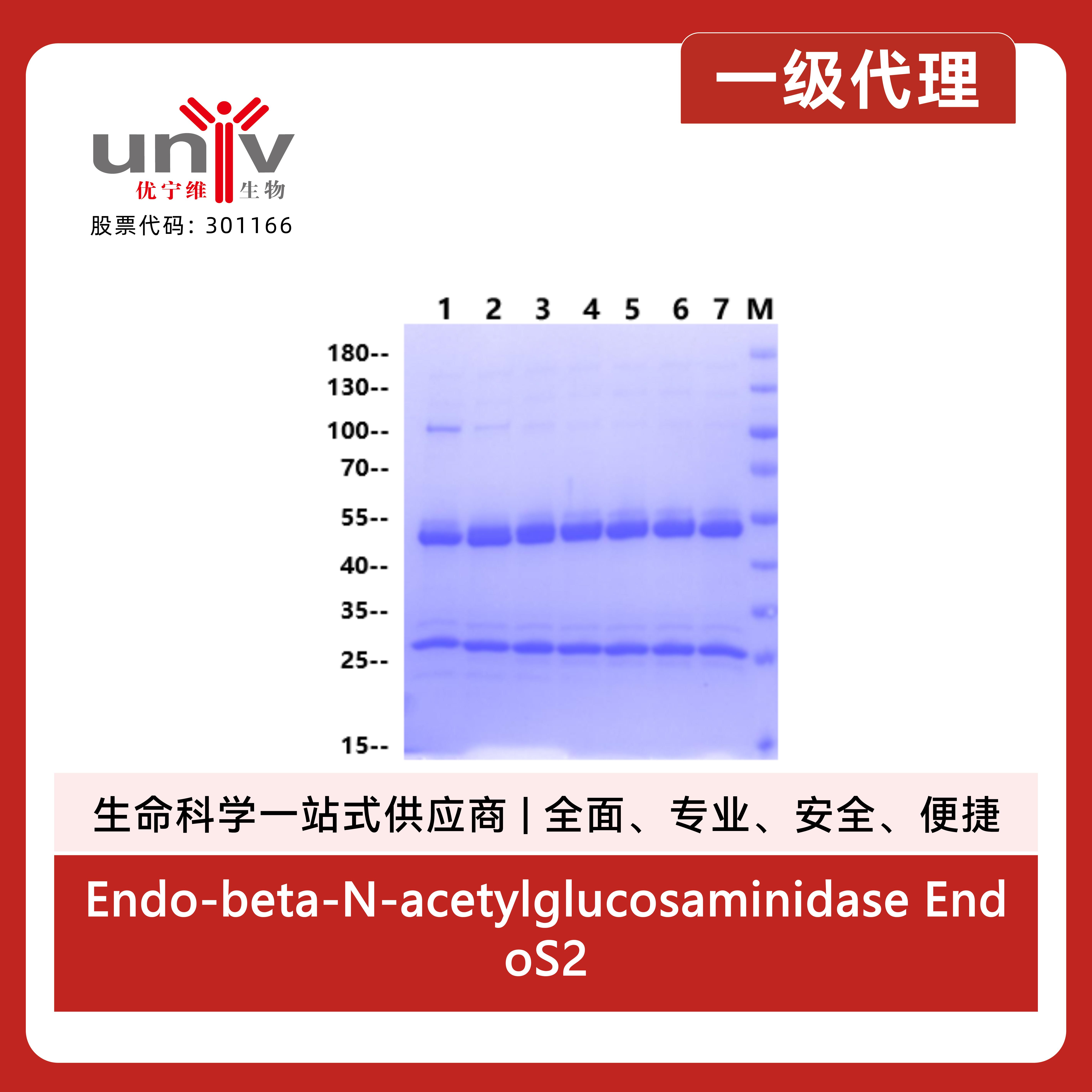 产品细节图片3
