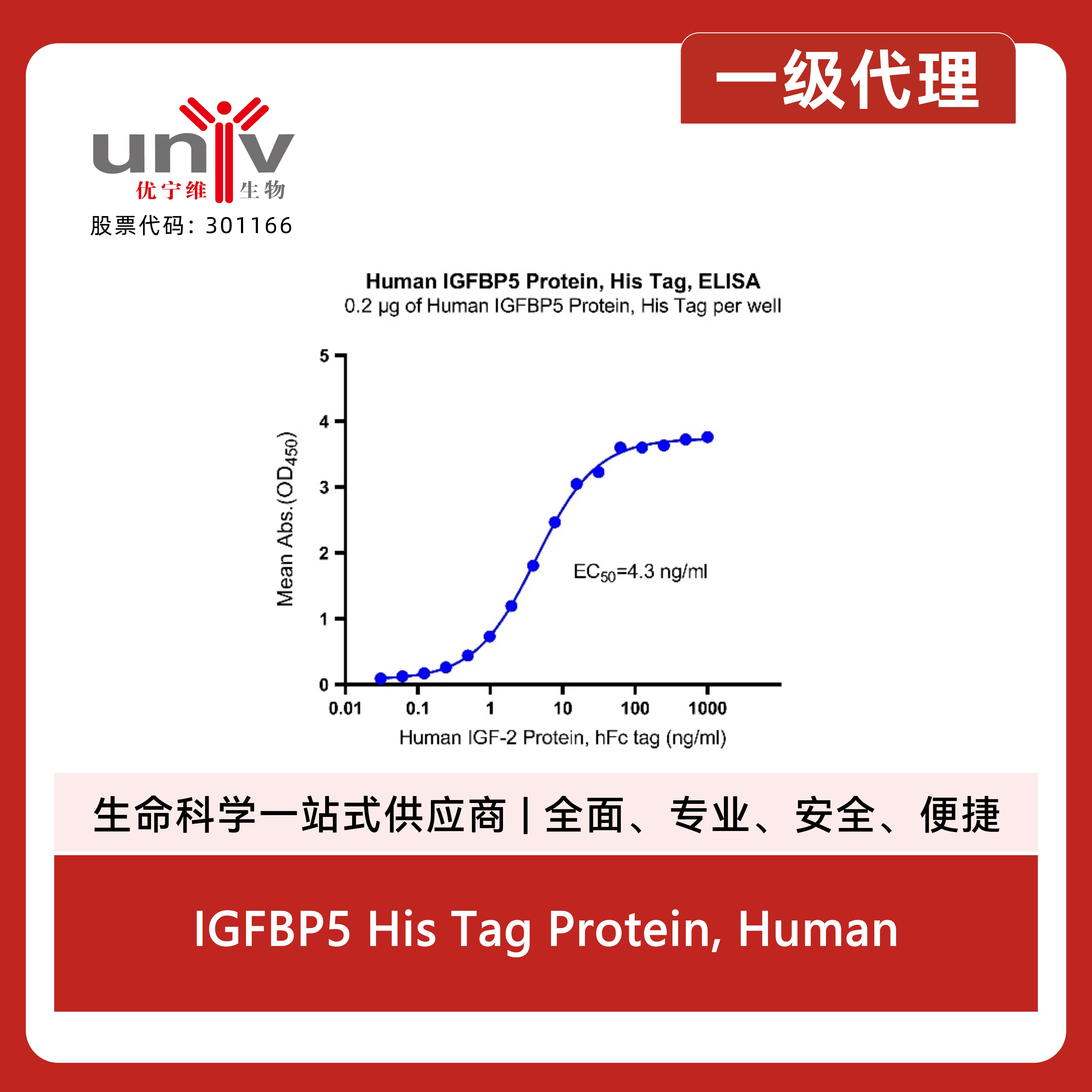 IGFBP5 His Tag Protein, Human产品图