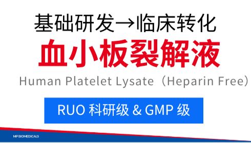 RUO & GMP级 hPL: 从基础研发到临床转化的全流程细胞培养解决方案