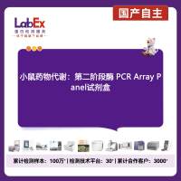 小鼠药物代谢：第二阶段酶 PCR Array Panel试剂盒