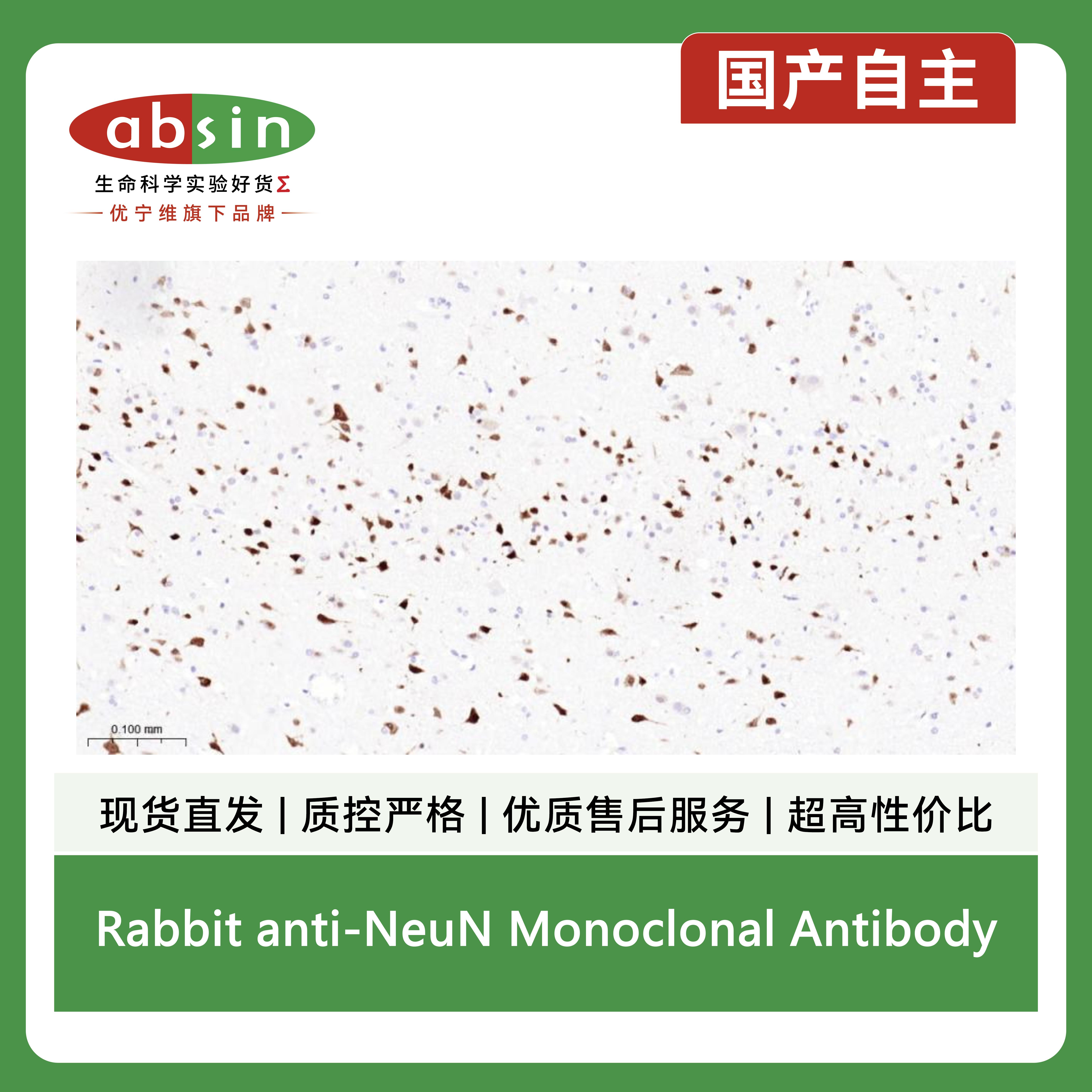 产品细节图片7
