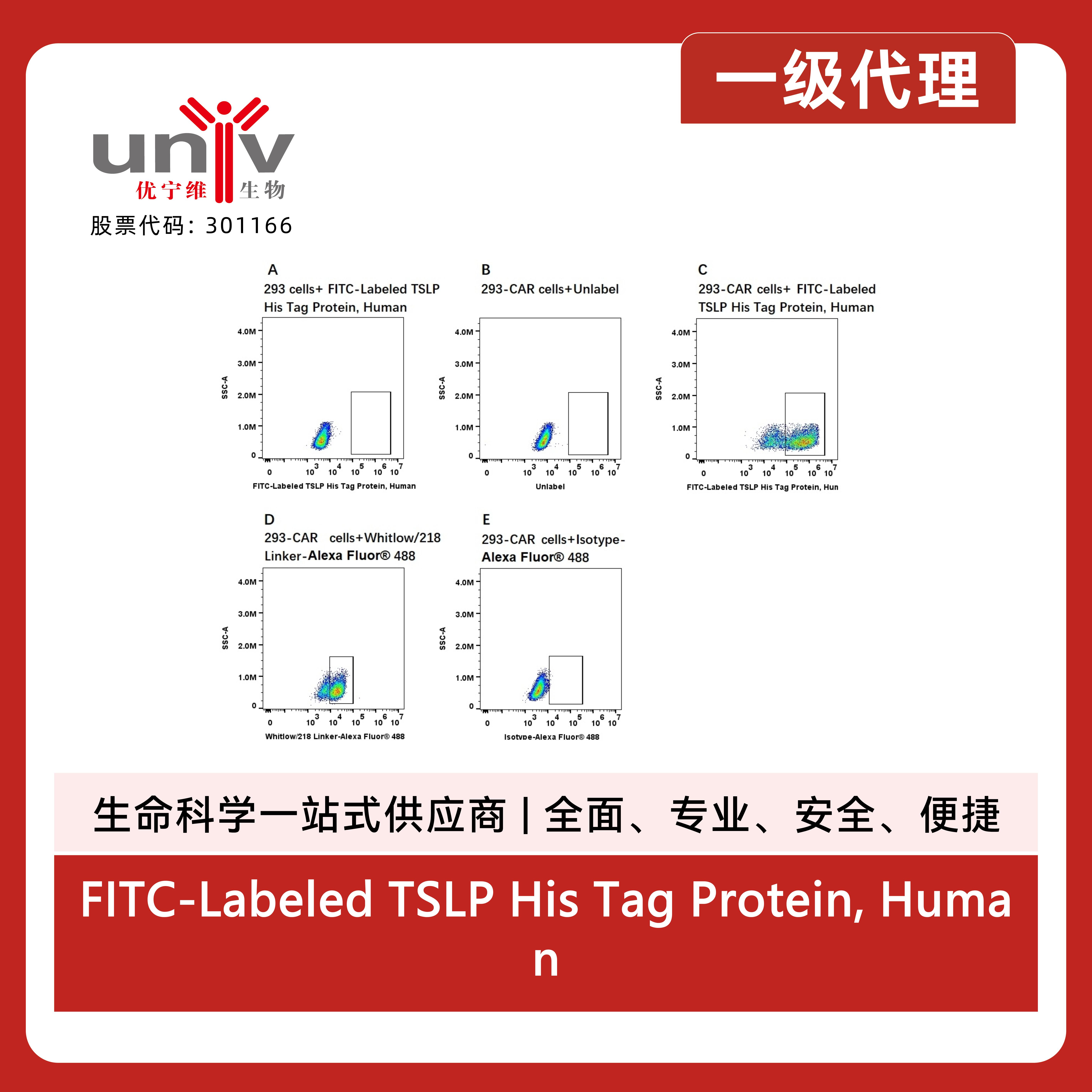 产品细节图片1