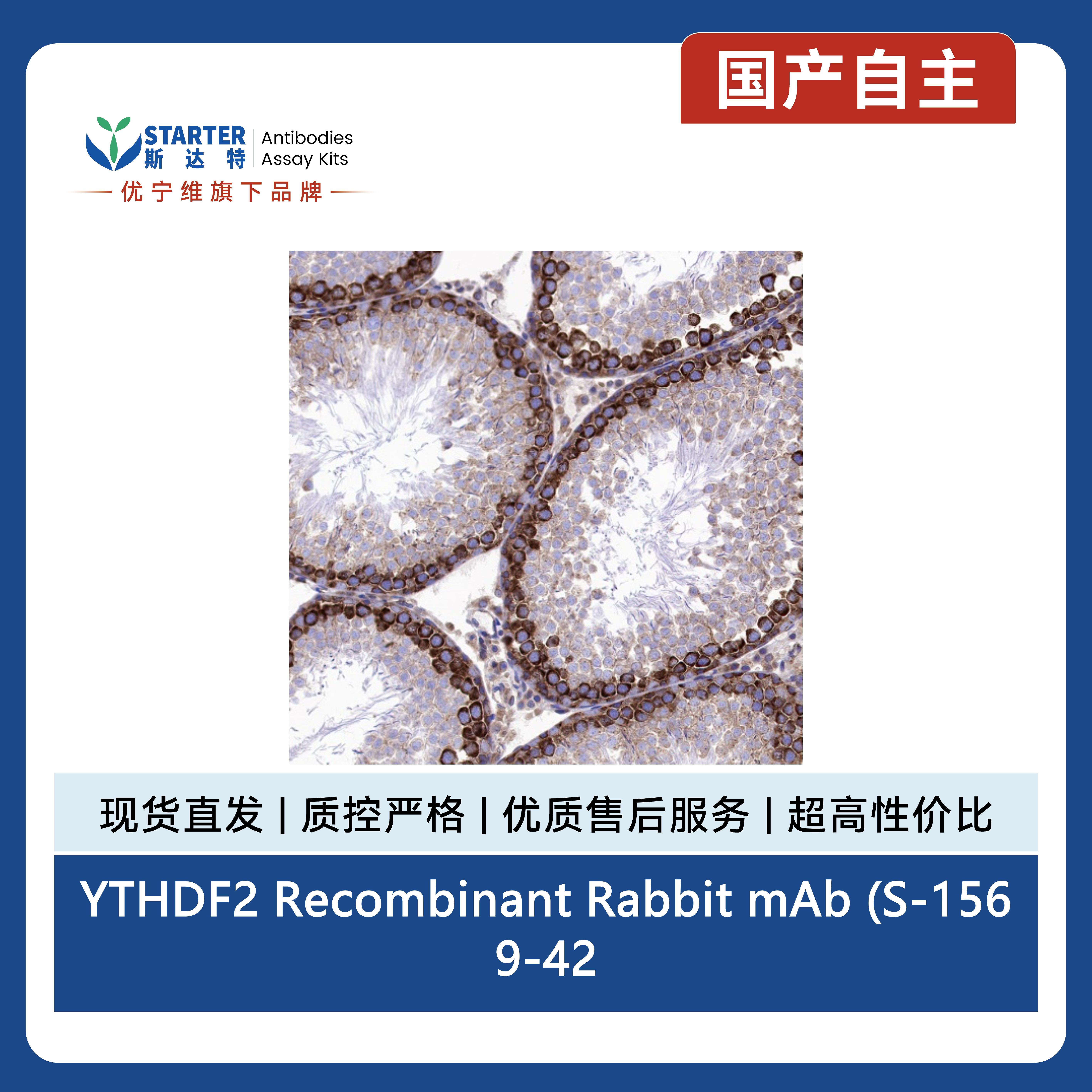 产品细节图片9