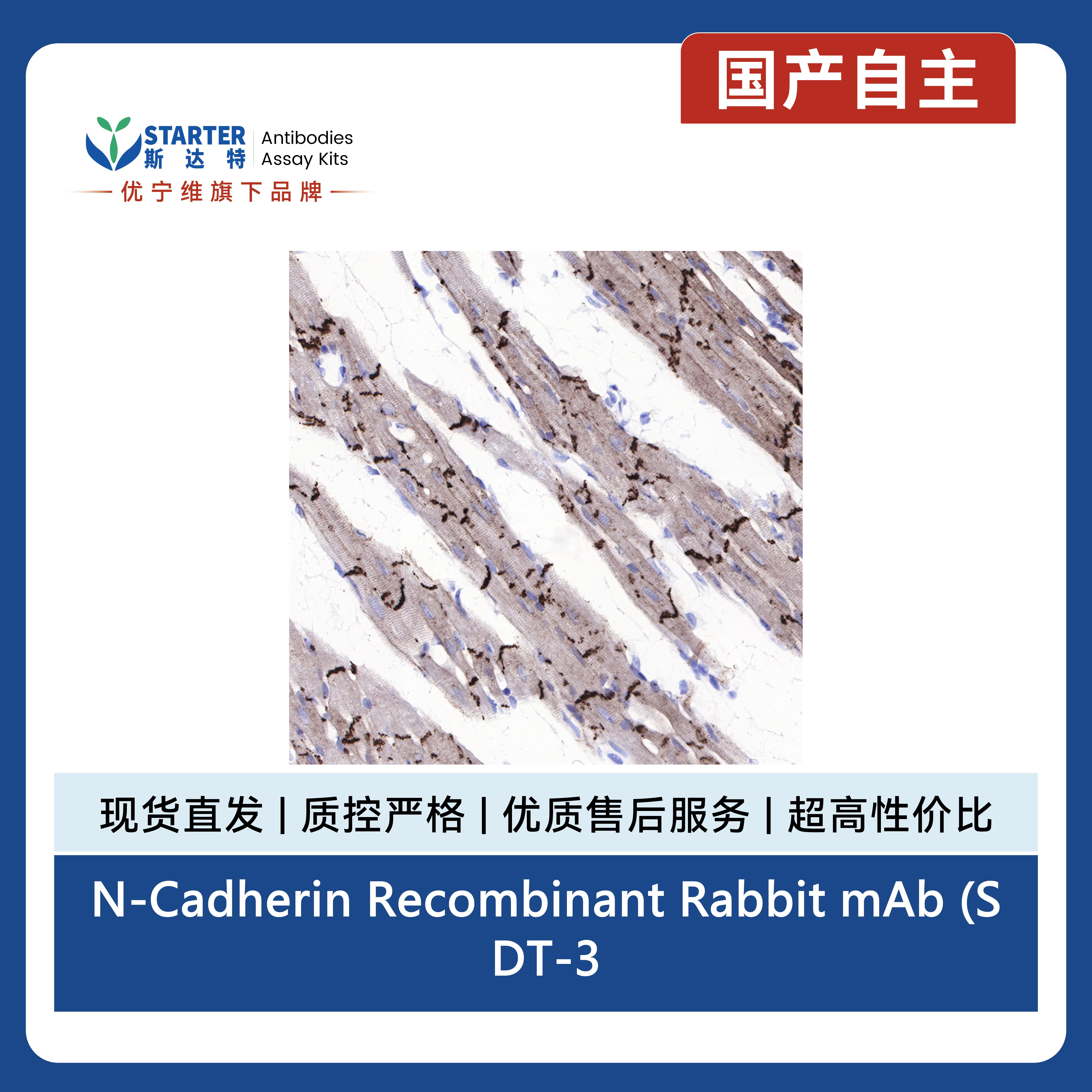 产品细节图片11