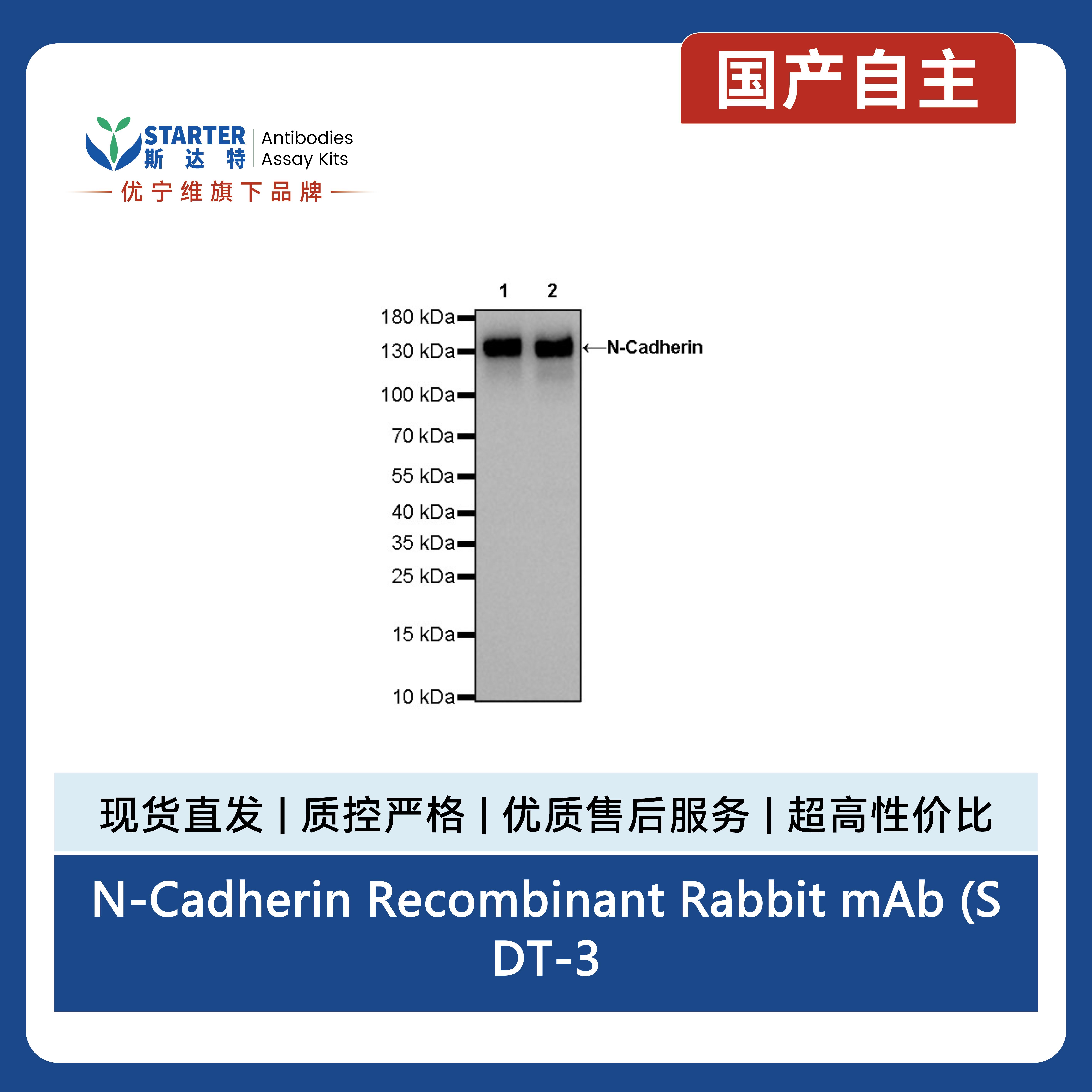 产品细节图片2