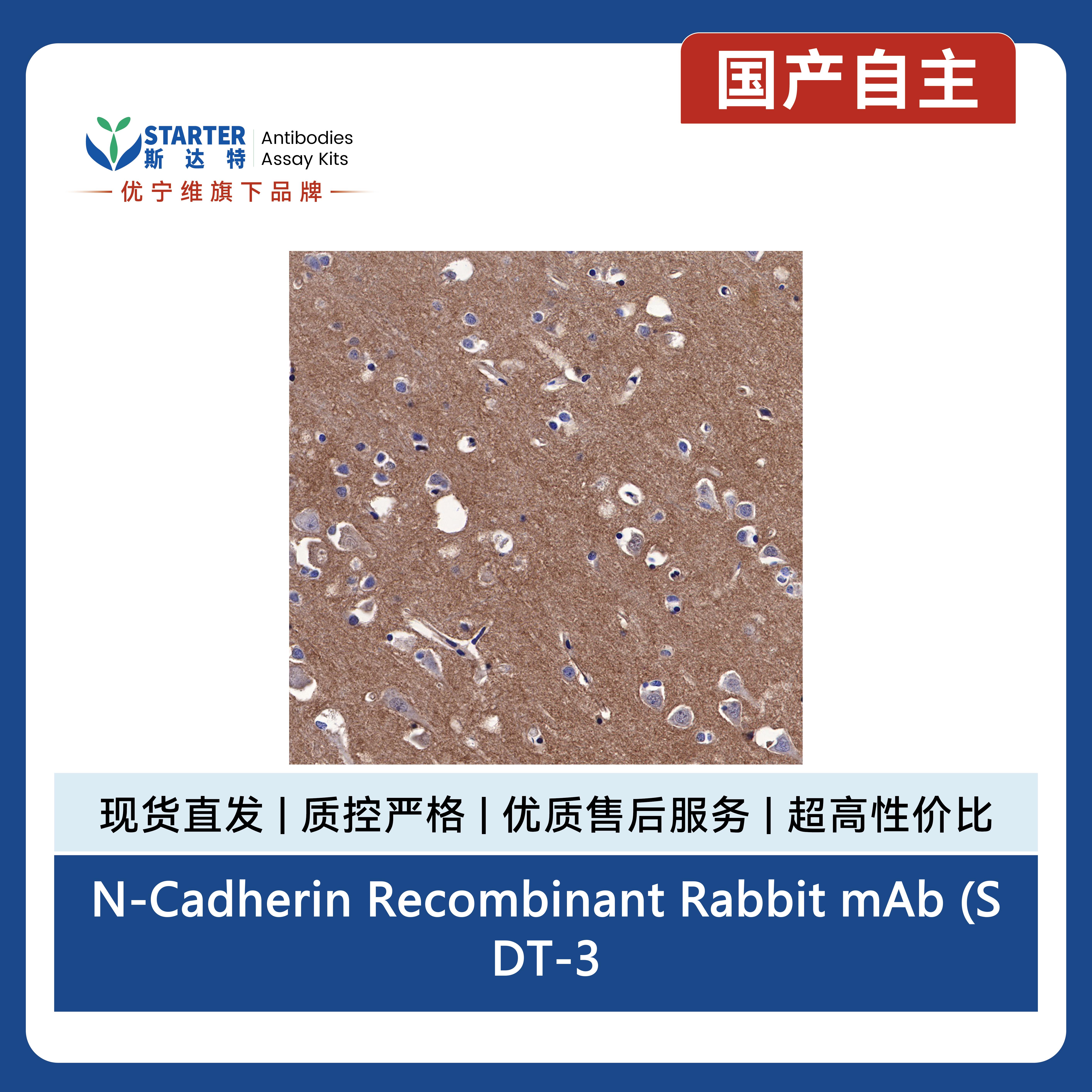 产品细节图片7