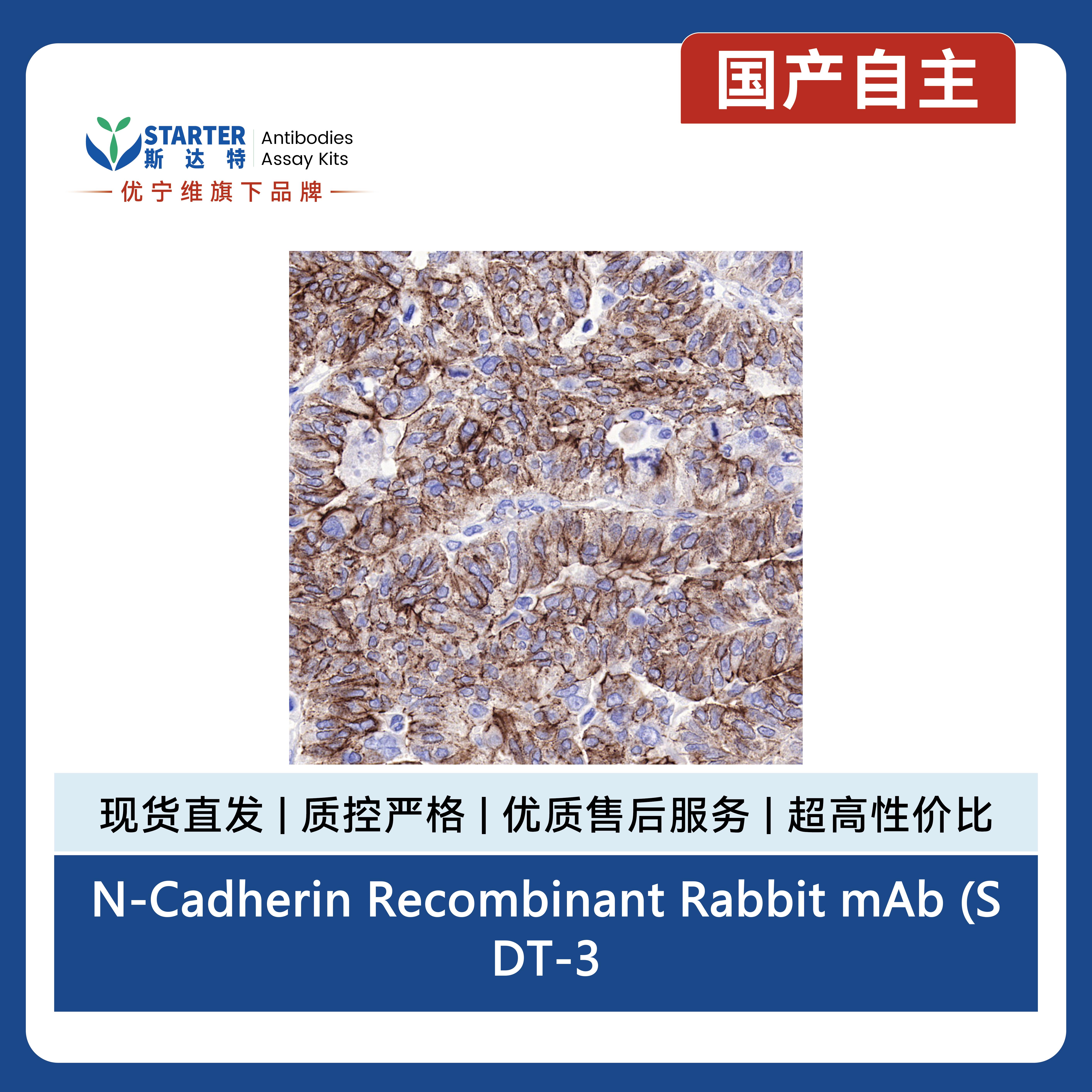 产品细节图片6