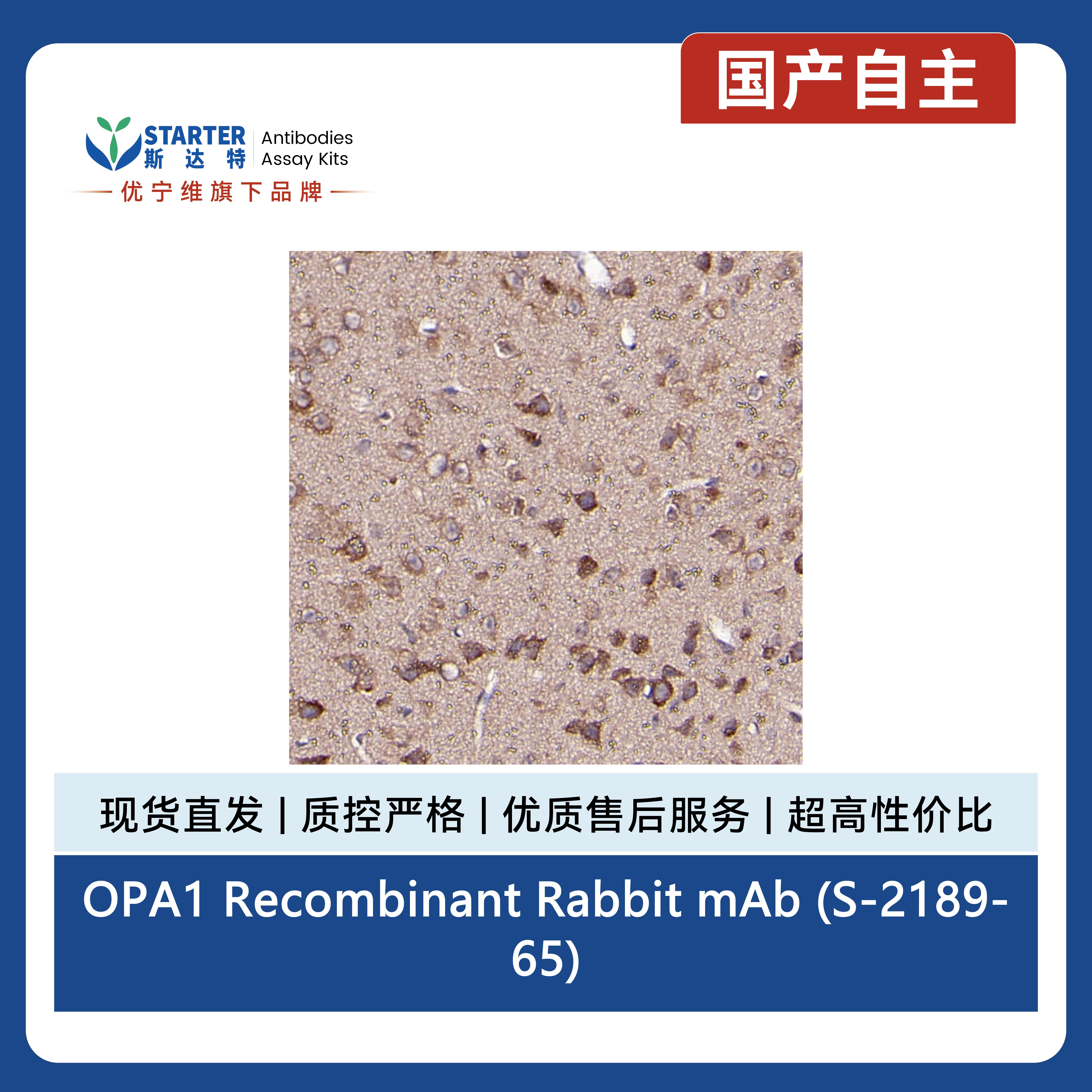 产品细节图片6