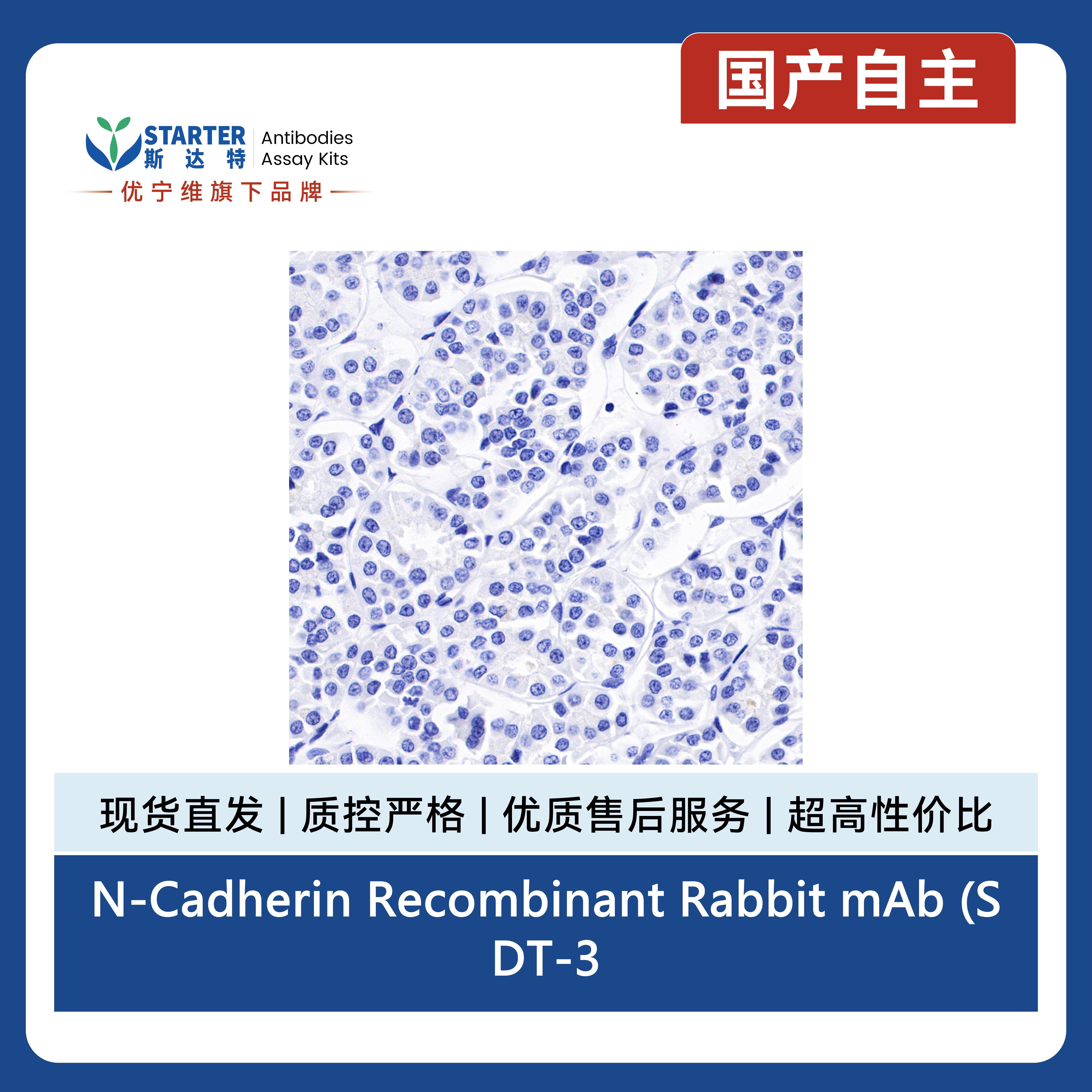 产品细节图片9