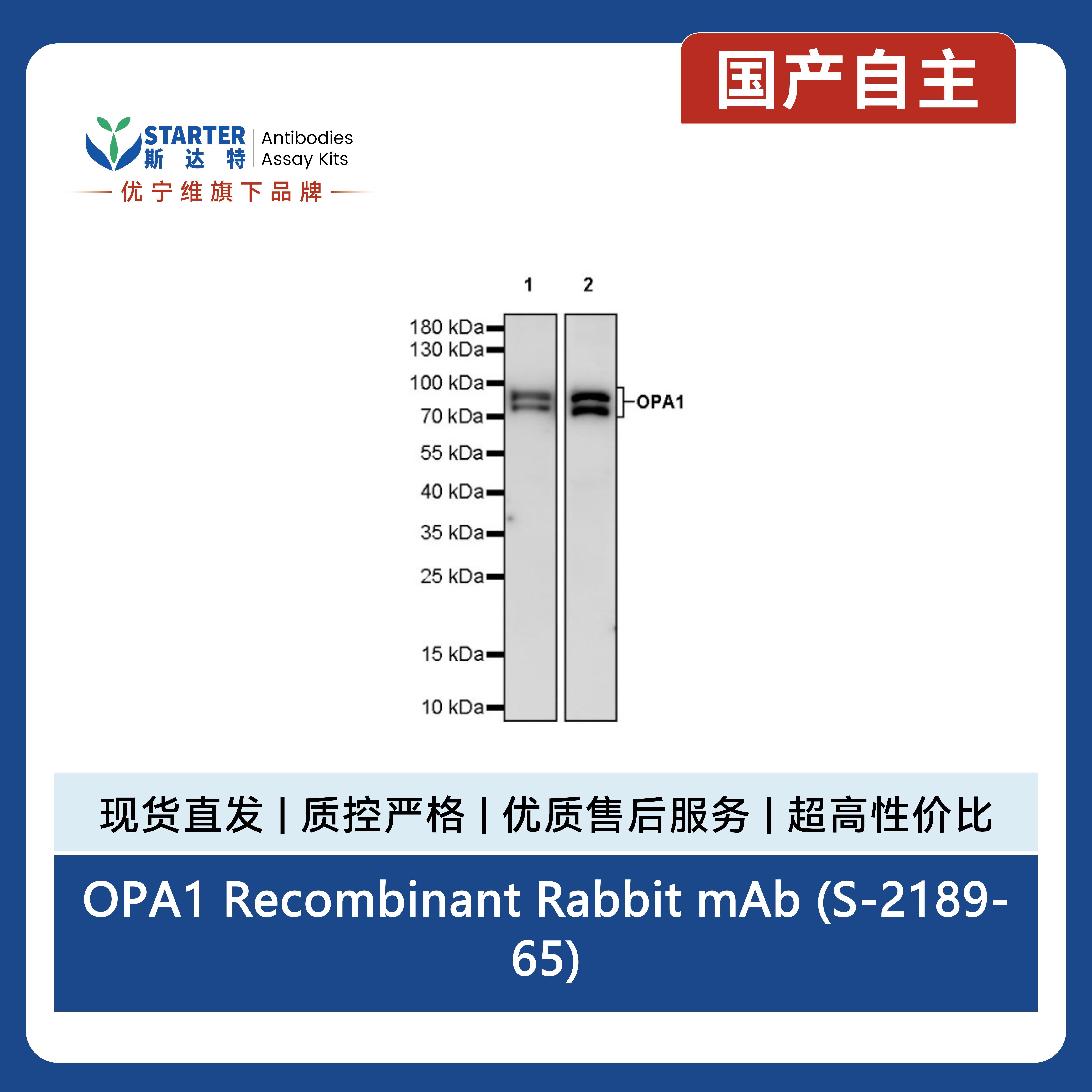 产品细节图片3