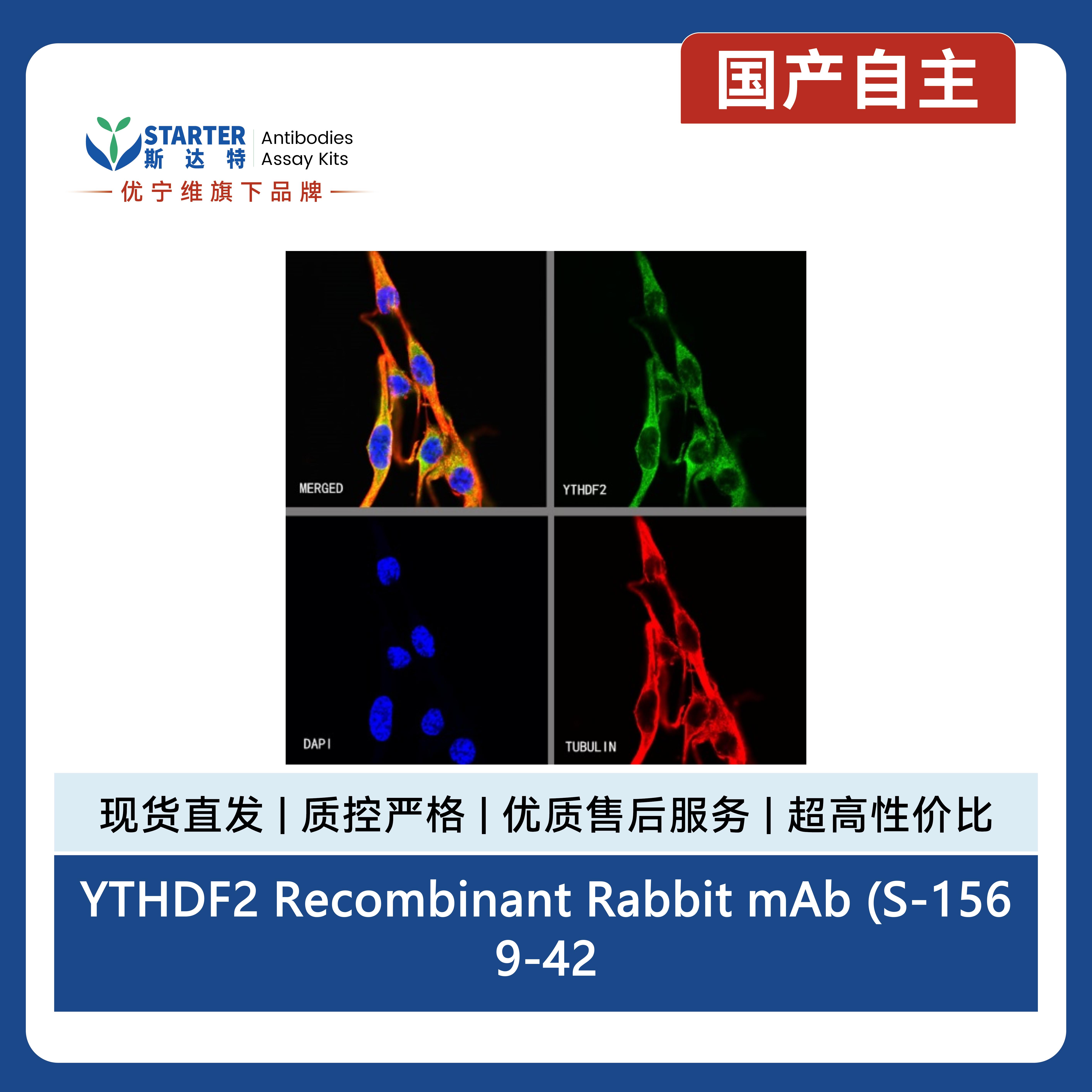 产品细节图片11
