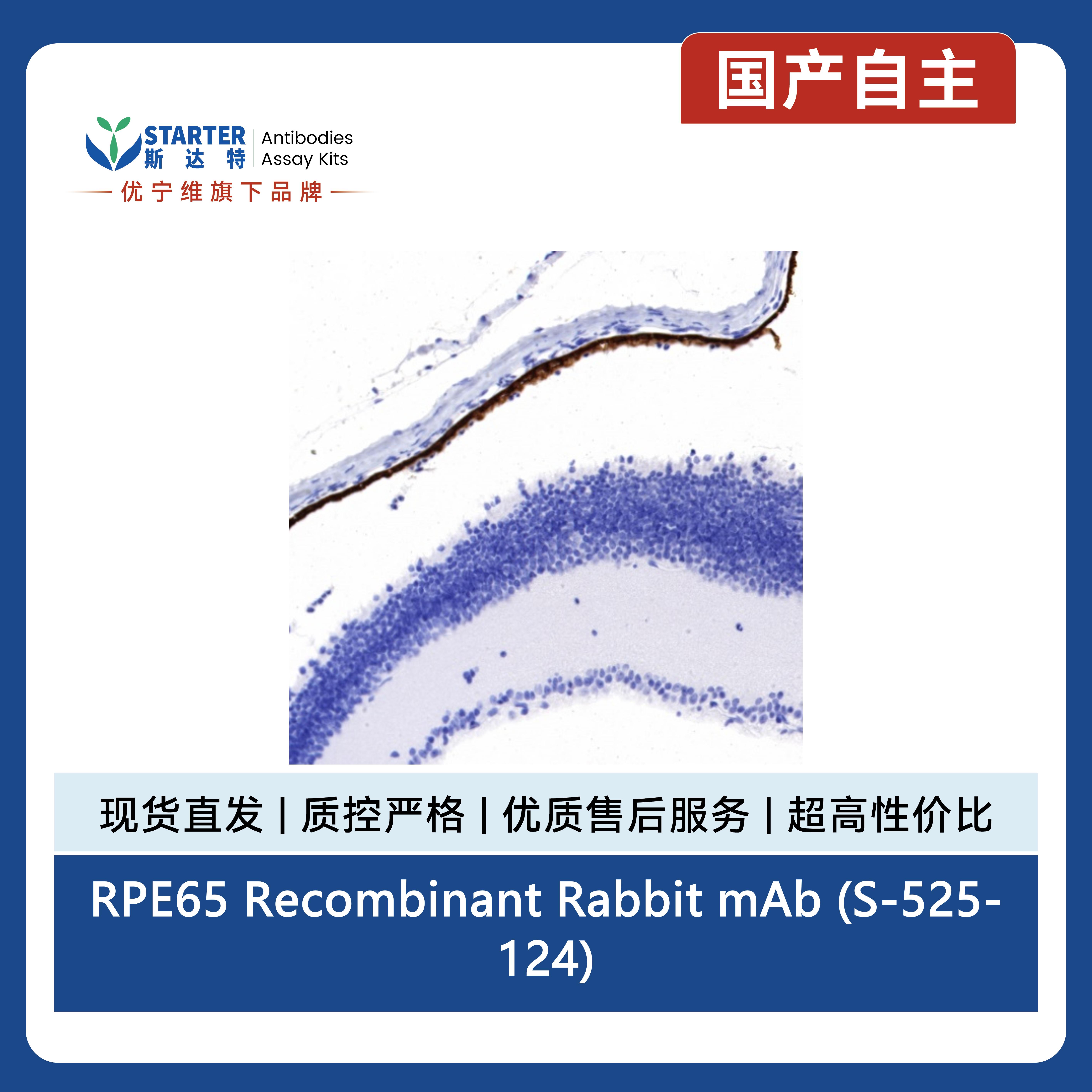 产品细节图片4