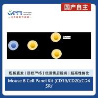 Mouse B Cell Panel Kit (CD19/CD20/CD45R/B220/CD38)