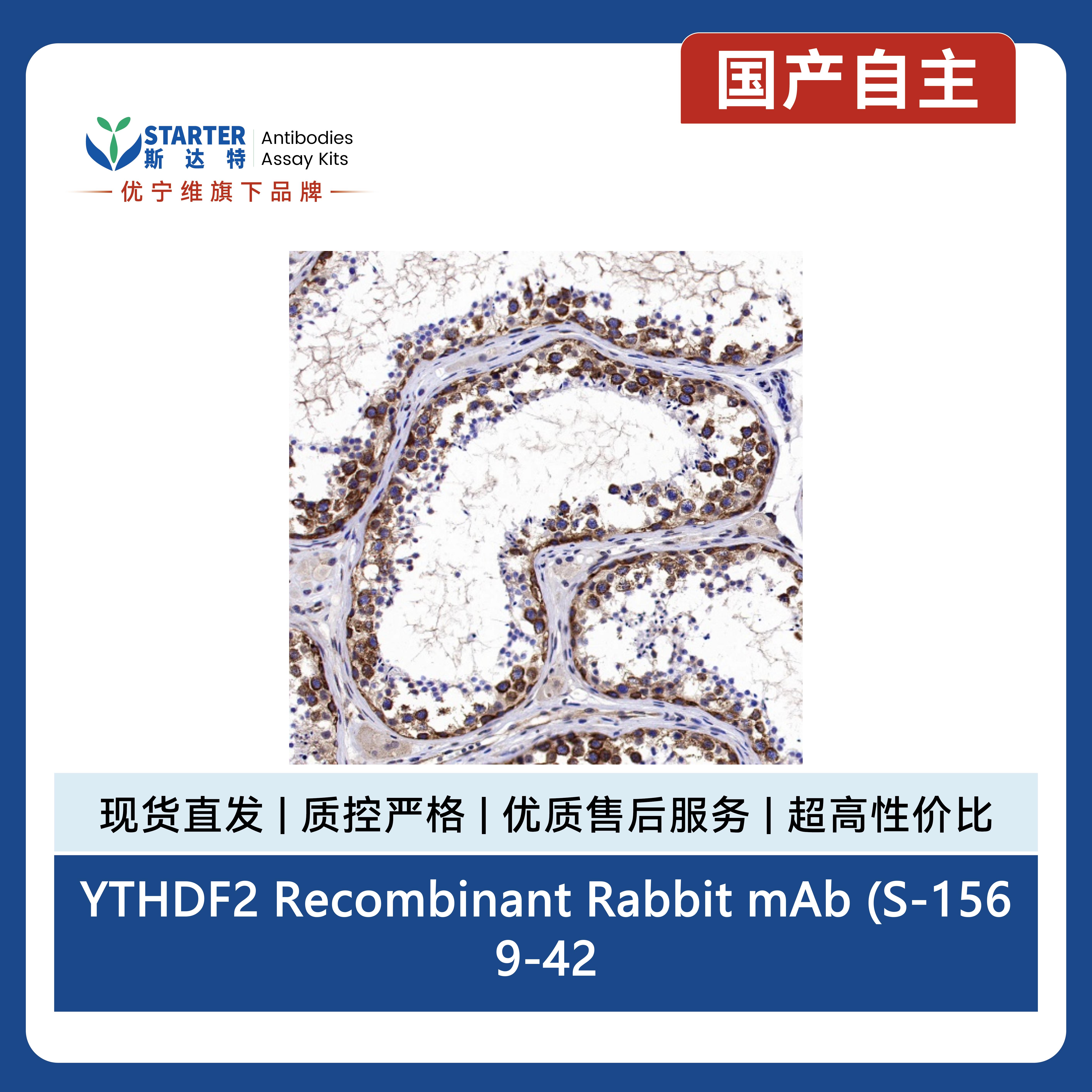 产品细节图片5