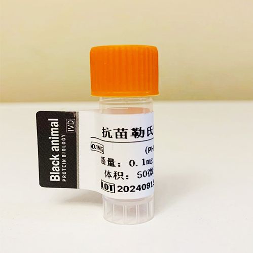 100μg 抗苗勒氏管激素(AMH),缪勒管抑制物,AMH-Ag 产品图