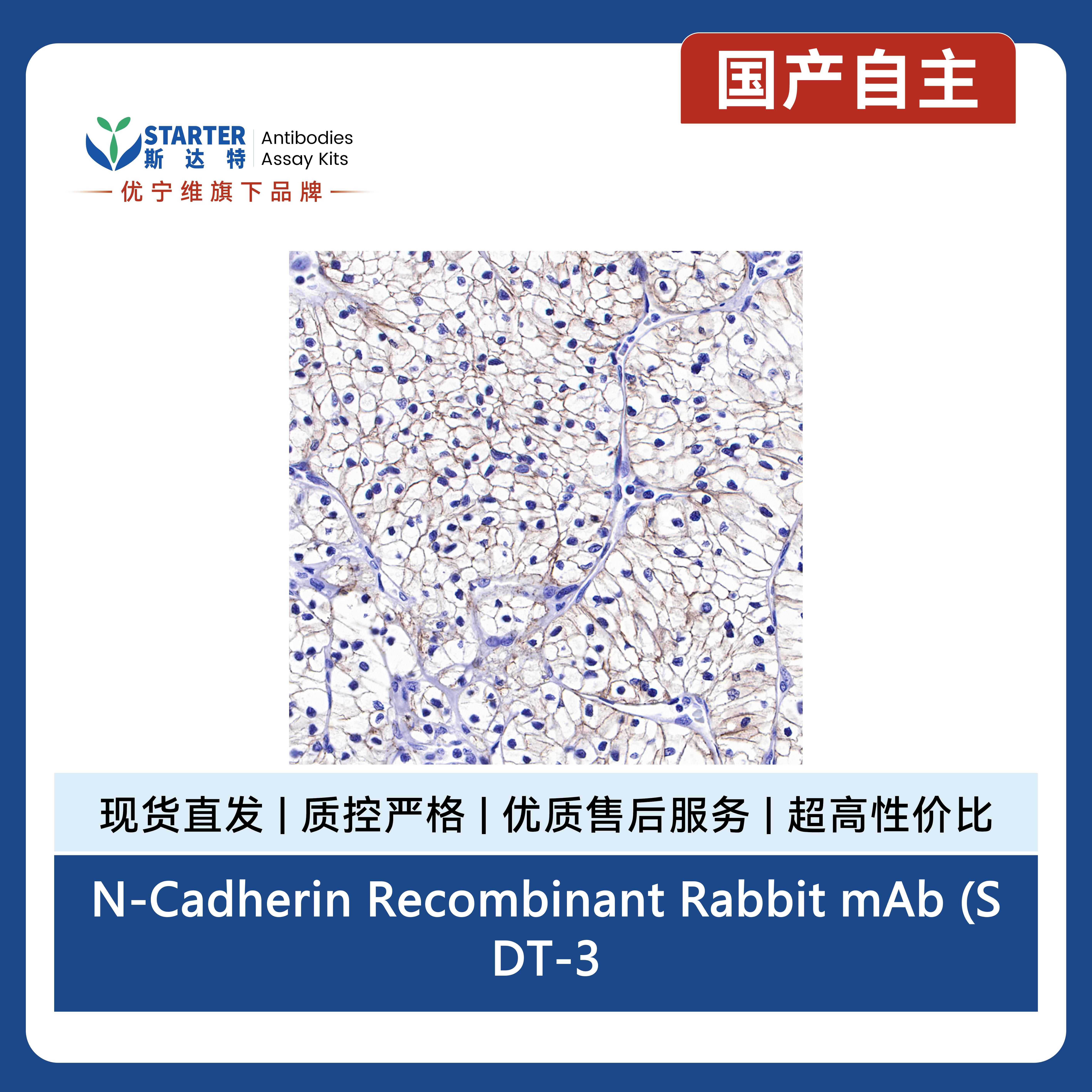 产品细节图片8