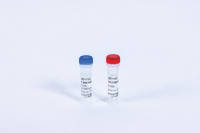 T7 DNA Polymerase