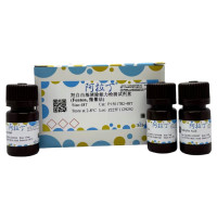 羟自由基清除能力检测试剂盒 (Fenton, 微量法) ，BioReagent，阿拉丁